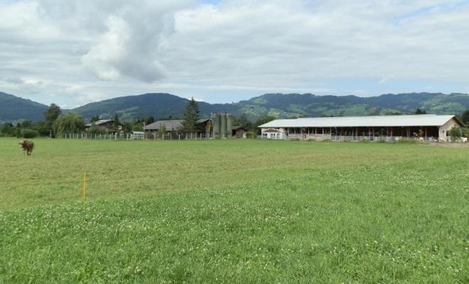Steigmatt Bauernhof- Erlebnis Villa Montlingen Luaran gambar