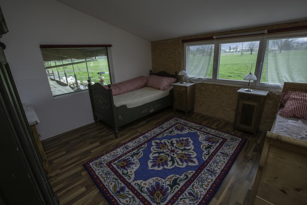 Steigmatt Bauernhof- Erlebnis Villa Montlingen Luaran gambar
